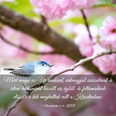 Picture 03 - 1 Thesszalonika 4:16 KAR - Mert maga az Úr riadóval, arkangyal - Bible Verse Picture