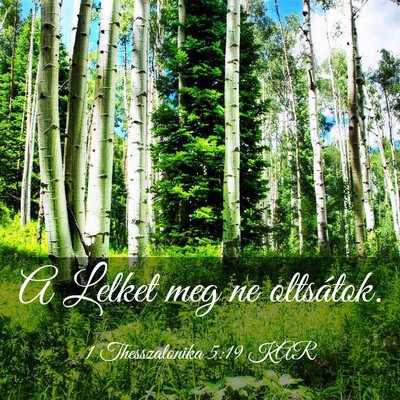 Picture 03 - 1 Thesszalonika 5:19 KAR - A Lelket meg ne - Bible Verse Picture
