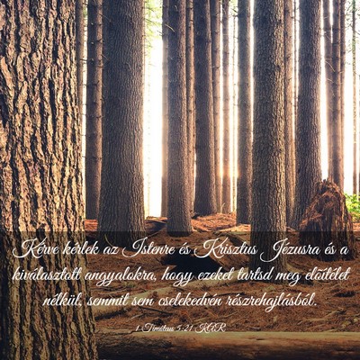 Picture 03 - 1 Timóteus 5:21 KAR - Kérve kérlek az Istenre és Krisztus Jézusra - Bible Verse Picture
