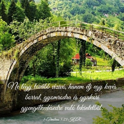 Picture 03 - 1 Timóteus 5:23 KAR - Ne légy tovább vízivó, hanem élj egy kevés - Bible Verse Picture
