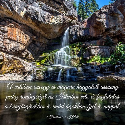 Picture 03 - 1 Timóteus 5:5 KAR - A valóban özvegy és magára hagyatott asszony - Bible Verse Picture