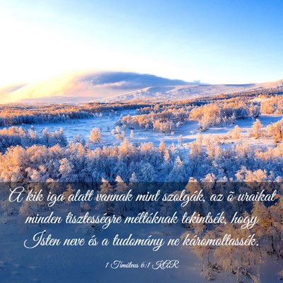 Picture 03 - 1 Timóteus 6:1 KAR - A kik iga alatt vannak mint szolgák, az õ - Bible Verse Picture
