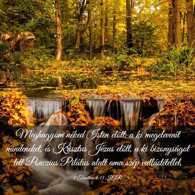Picture 03 - 1 Timóteus 6:13 KAR - Meghagyom néked Isten elõtt, a ki megelevenít - Bible Verse Picture