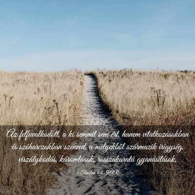 Picture 03 - 1 Timóteus 6:4 KAR - Az felfuvalkodott, a ki semmit sem ért, hanem - Bible Verse Picture