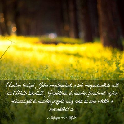 Picture 03 - 2 Királyok 10:11 KAR - Azután levágá Jéhu mindazokat, a kik - Bible Verse Picture