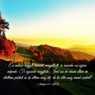 Picture 03 - 2 Királyok 10:9 KAR - És mikor reggel kiment, megállott, és monda az - Bible Verse Picture
