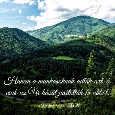 Picture 03 - 2 Királyok 12:14 KAR - Hanem a munkásoknak adták azt, és csak az Úr - Bible Verse Picture