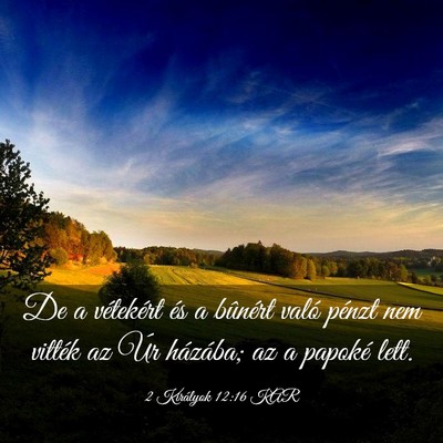 Picture 03 - 2 Királyok 12:16 KAR - De a vétekért és a bûnért való pénzt nem - Bible Verse Picture
