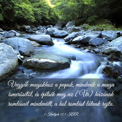 Picture 03 - 2 Királyok 12:5 KAR - Vegyék magokhoz a papok, mindenik a maga - Bible Verse Picture