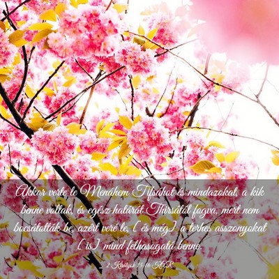 Picture 03 - 2 Királyok 15:16 KAR - Akkor verte le Menáhem Tifsáhot és mindazokat, - Bible Verse Picture