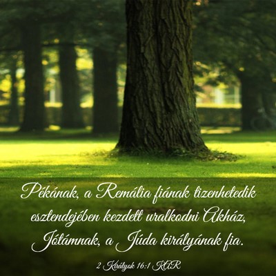 Picture 03 - 2 Királyok 16:1 KAR - Pékának, a Remália fiának tizenhetedik - Bible Verse Picture