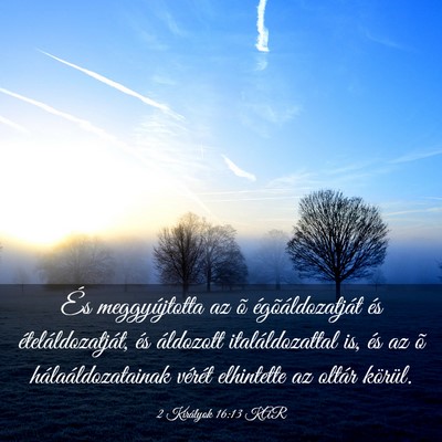 Picture 03 - 2 Királyok 16:13 KAR - És meggyújtotta az õ égõáldozatját és - Bible Verse Picture