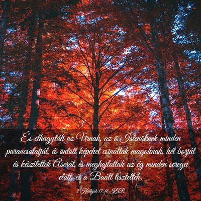 Picture 03 - 2 Királyok 17:16 KAR - És elhagyták az Úrnak, az õ Istenöknek - Bible Verse Picture