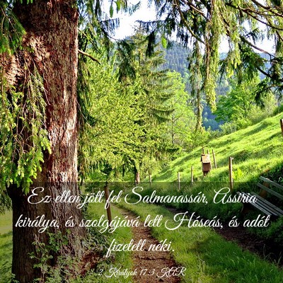 Picture 03 - 2 Királyok 17:3 KAR - Ez ellen jött fel Salmanassár, Assiria - Bible Verse Picture