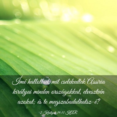 Picture 03 - 2 Királyok 19:11 KAR - Ímé hallottad, mit cselekedtek Assiria - Bible Verse Picture
