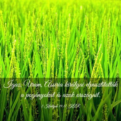 Picture 03 - 2 Királyok 19:17 KAR - Igaz, Uram, Assiria királyai elpusztították a - Bible Verse Picture