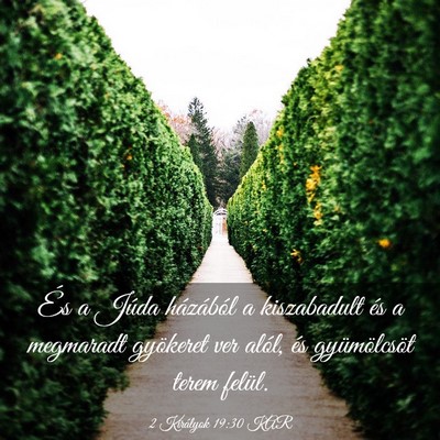 Picture 03 - 2 Királyok 19:30 KAR - És a Júda házából a kiszabadult és a - Bible Verse Picture