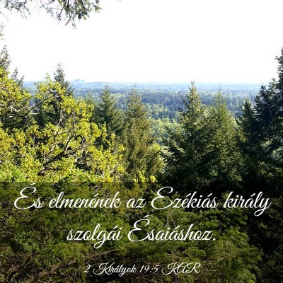 Picture 03 - 2 Királyok 19:5 KAR - És elmenének az Ezékiás király szolgái - Bible Verse Picture