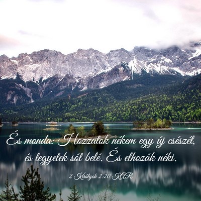 Picture 03 - 2 Királyok 2:20 KAR - És monda: Hozzatok nékem egy új csészét, és - Bible Verse Picture