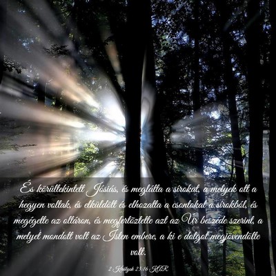 Picture 03 - 2 Királyok 23:16 KAR - És körültekintett Jósiás, és meglátta a - Bible Verse Picture