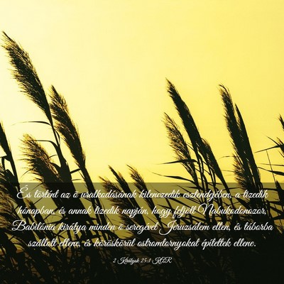 Picture 03 - 2 Királyok 25:1 KAR - És történt az õ uralkodásának kilenczedik - Bible Verse Picture