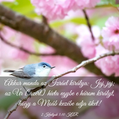 Picture 03 - 2 Királyok 3:10 KAR - Akkor monda az Izráel királya: Jaj, jaj; az Úr - Bible Verse Picture