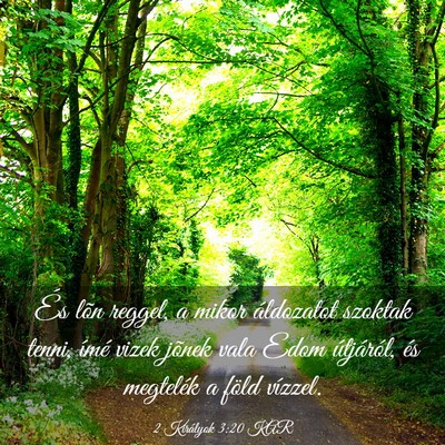 Picture 03 - 2 Királyok 3:20 KAR - És lõn reggel, a mikor áldozatot szoktak - Bible Verse Picture
