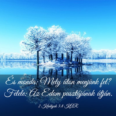 Picture 03 - 2 Királyok 3:8 KAR - És monda: Mely úton menjünk fel? Felele: Az - Bible Verse Picture