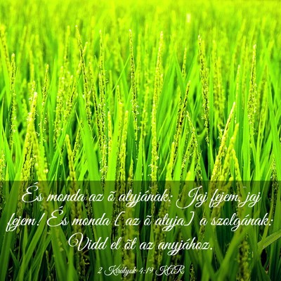 Picture 03 - 2 Királyok 4:19 KAR - És monda az õ atyjának: Jaj fejem, jaj fejem! - Bible Verse Picture