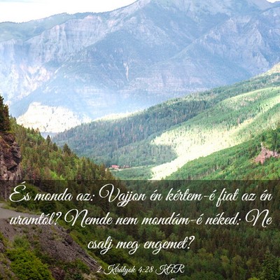 Picture 03 - 2 Királyok 4:28 KAR - És monda az: Vajjon én kértem-é fiat az én - Bible Verse Picture