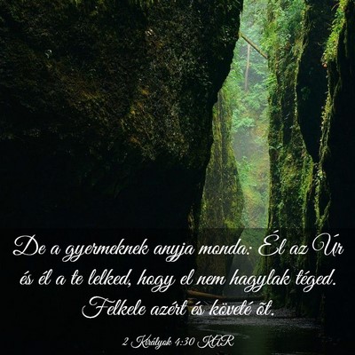Picture 03 - 2 Királyok 4:30 KAR - De a gyermeknek anyja monda: Él az Úr és él a - Bible Verse Picture