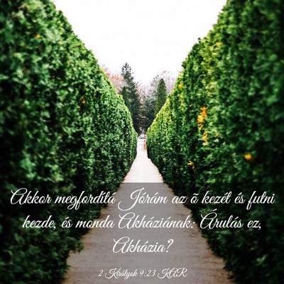 Picture 03 - 2 Királyok 9:23 KAR - Akkor megfordítá Jórám az õ kezét és futni - Bible Verse Picture