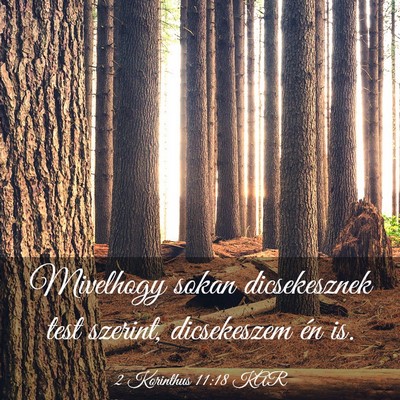 Picture 03 - 2 Korinthus 11:18 KAR - Mivelhogy sokan dicsekesznek test szerint, - Bible Verse Picture