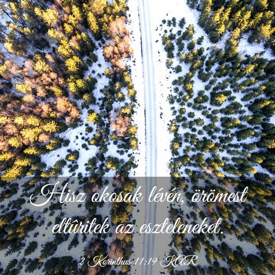 Picture 03 - 2 Korinthus 11:19 KAR - Hisz okosak lévén, örömest eltûritek az - Bible Verse Picture