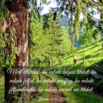 Picture 03 - 2 Korinthus 11:20 KAR - Mert eltûritek, ha valaki leigáz titeket, ha - Bible Verse Picture