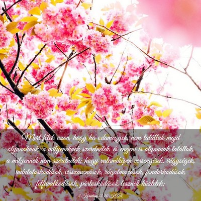 Picture 03 - 2 Korinthus 12:20 KAR - Mert félek azon, hogy ha odamegyek, nem - Bible Verse Picture