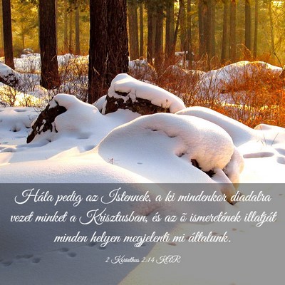 Picture 03 - 2 Korinthus 2:14 KAR - Hála pedig az Istennek, a ki mindenkor diadalra - Bible Verse Picture