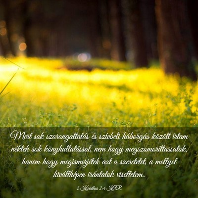 Picture 03 - 2 Korinthus 2:4 KAR - Mert sok szorongattatás és szívbeli háborgás - Bible Verse Picture