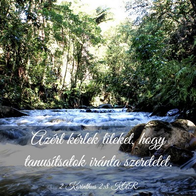 Picture 03 - 2 Korinthus 2:8 KAR - Azért kérlek titeket, hogy tanusítsatok - Bible Verse Picture