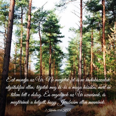 Picture 03 - 2 Krónika 11:4 KAR - Ezt mondja az Úr: Ne menjetek fel és ne - Bible Verse Picture