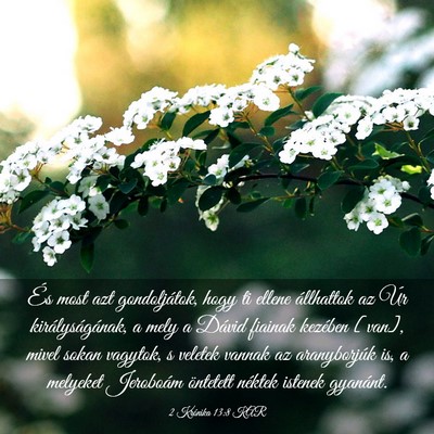 Picture 03 - 2 Krónika 13:8 KAR - És most azt gondoljátok, hogy ti ellene - Bible Verse Picture