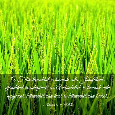 Picture 03 - 2 Krónika 17:11 KAR - A Filiszteusoktól is hoznak vala Jósafátnak - Bible Verse Picture