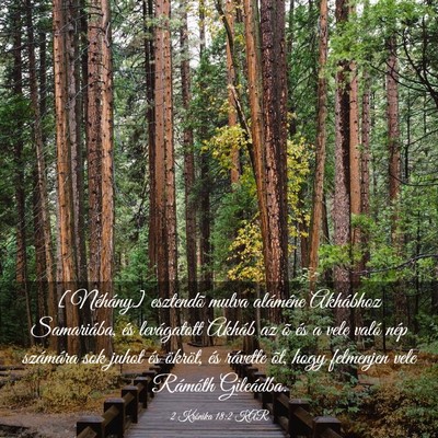 Picture 03 - 2 Krónika 18:2 KAR - [Néhány] esztendõ mulva aláméne Akhábhoz - Bible Verse Picture