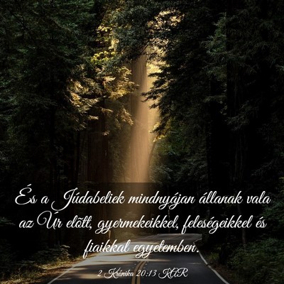 Picture 03 - 2 Krónika 20:13 KAR - És a Júdabeliek mindnyájan állanak vala az - Bible Verse Picture