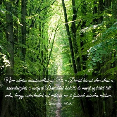 Picture 03 - 2 Krónika 21:7 KAR - Nem akará mindazáltal az Úr a Dávid házát - Bible Verse Picture