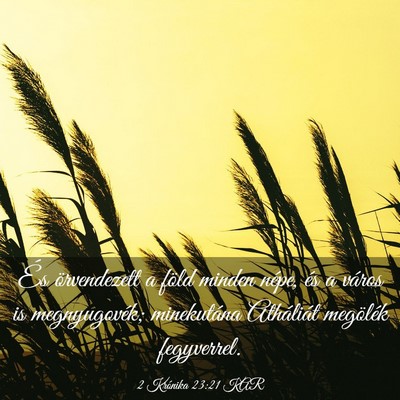 Picture 03 - 2 Krónika 23:21 KAR - És örvendezett a föld minden népe, és a - Bible Verse Picture