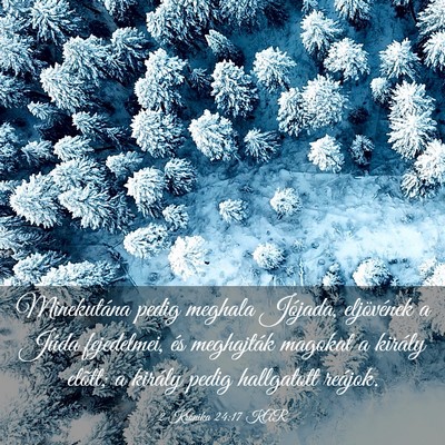 Picture 03 - 2 Krónika 24:17 KAR - Minekutána pedig meghala Jójada, eljövének a - Bible Verse Picture
