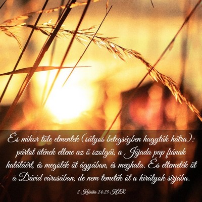 Picture 03 - 2 Krónika 24:25 KAR - És mikor tõle elmentek (súlyos betegségben - Bible Verse Picture
