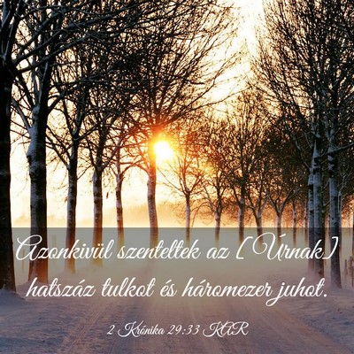 Picture 03 - 2 Krónika 29:33 KAR - Azonkivül szenteltek az [Úrnak] hatszáz tulkot - Bible Verse Picture