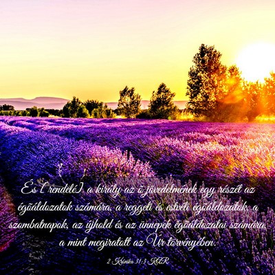 Picture 03 - 2 Krónika 31:3 KAR - És [rendelé] a király az õ jövedelmének egy - Bible Verse Picture